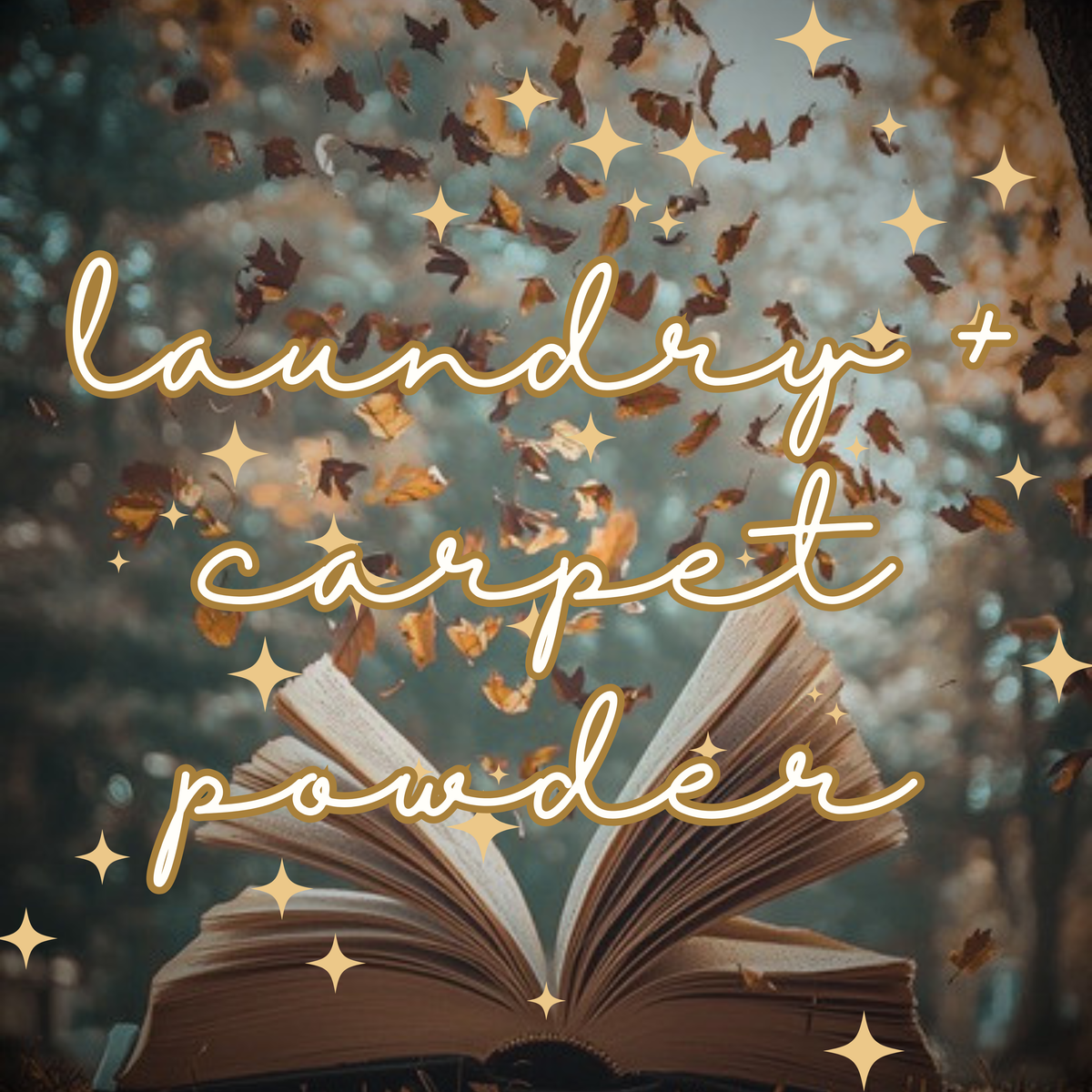 Book Nook Laundry + Carpet Powder